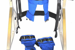 Gait Harness System for Pediatric Practitioners