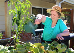 Woman waters garden safely supported in Gait Harness System